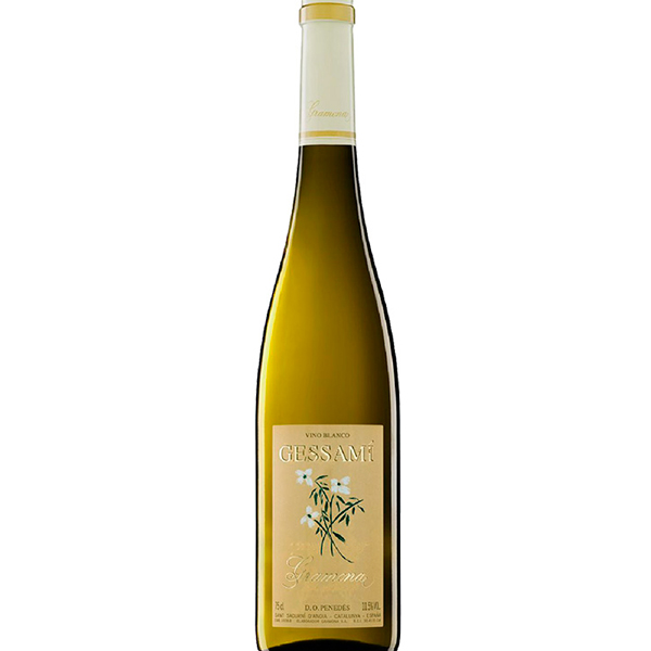 VB GRAMONA GESSAMÍ 2023