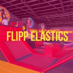 2.1.-FLIP ELÀSTICS/ XARXES DV-DG-FESTIUS