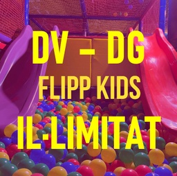 2.4.-KIDS PARK ( DV-DG + FESTIUS) IL.LIMITAT