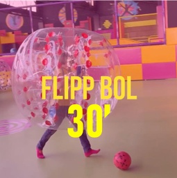 7.5.-FLIPPBOL ( DV-DG+ FESTIUS) 25'-30'
