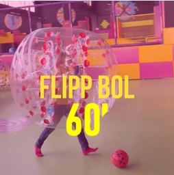 7.4.-FLIPPBOL ( DV-DG + FESTIUS) 55'-60'